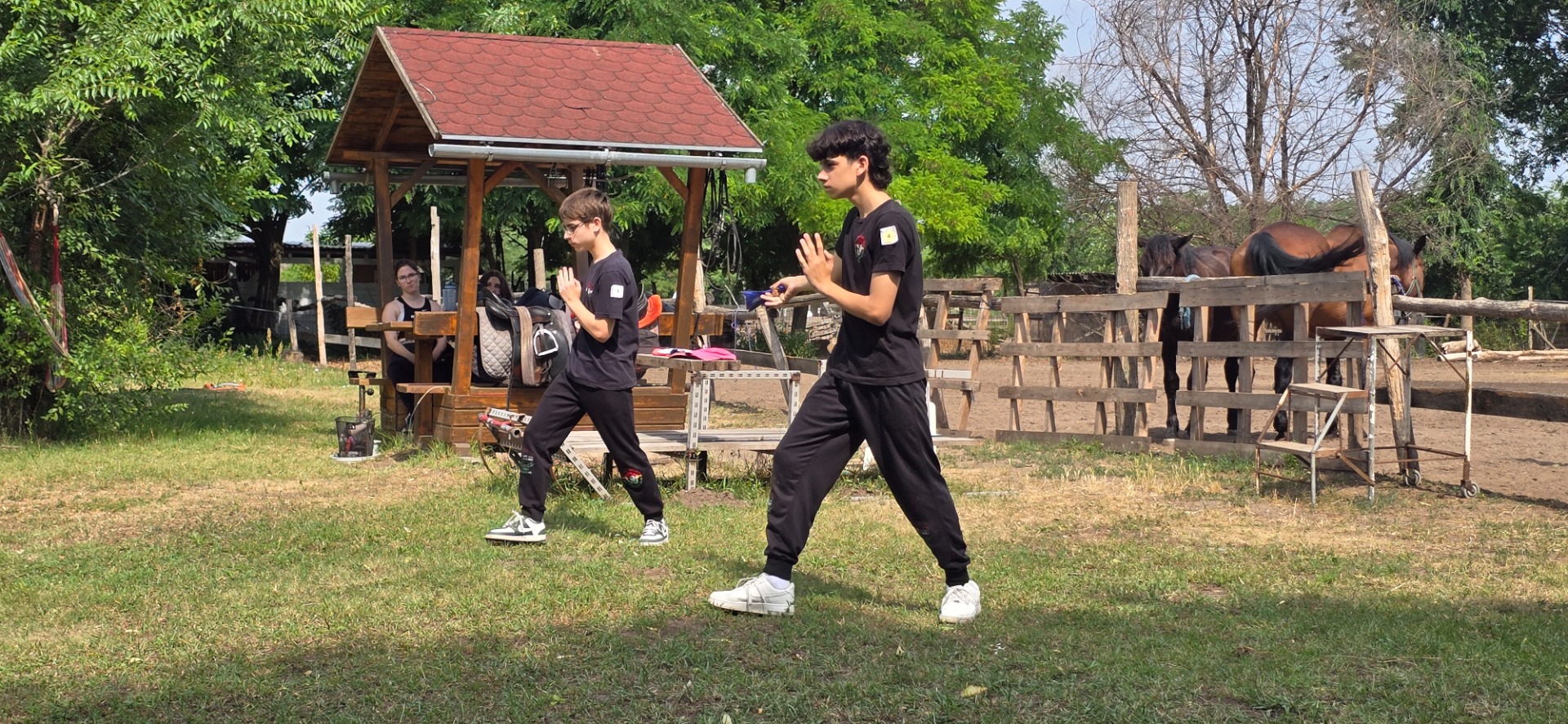 Sifu Dáné Csaba lenyűgöző Tai Chi és Wing Chun Kung Fu bemutató